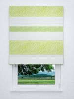 Raffrollo classic in grün