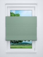 Raffrollo professional in grün