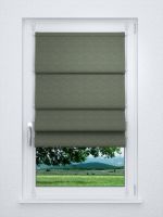 Raffrollo smart in grün