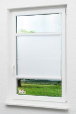 Rollo Standard Lysel Outlet - Glasleistenrollo Tageslicht