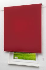 Rollo Standard Lysel Outlet - Basisrollo Tageslicht Bordeauxrot