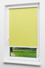 Rollo Standard Lysel Outlet - Kassettenrollo abdunkelnd Apfelgrün