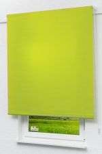 Rollo Standard Lysel Outlet - Basisrollo Tageslicht Gelbgrün