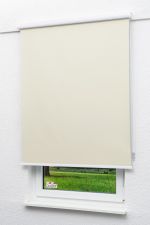 Rollo Standard Lysel - Qualitätskassettenrollo Abdunkelung hellelfenbein