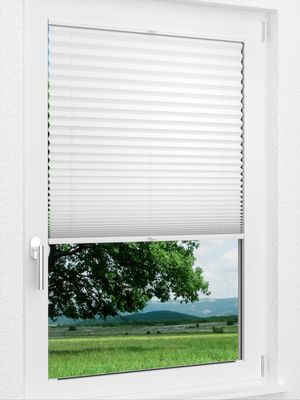 Preview LYSEL HOME Plissee 209A Krepp Pearl 1