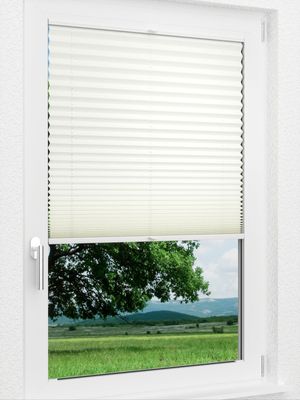 Preview LYSEL HOME Plissee 307A Dorswin 1
