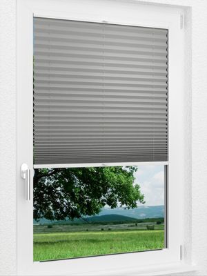 Preview LYSEL HOME Plissee 309A Dorswin 1